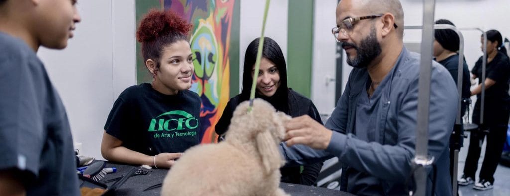 Pet Grooming con Entrenamiento de Perros